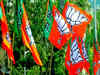 BJP wins 717 Gram Panchayats, NCP (Ajit) second with 407 Seats