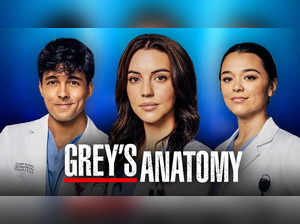 Grey's Anatomy Season 20: Is it releasing early? Check premiere details and more