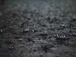 Tamil Nadu: Schools in Madurai to remain closed today due to heavy rainfall