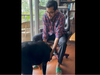 'Welcome back Henry': Mahua Moitra's 'jilted ex' gets his dog back