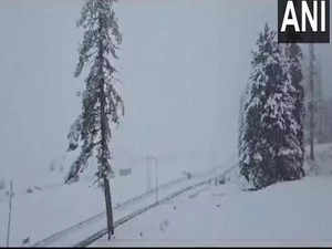 J-K: Gulmarg receives season's first snowfall