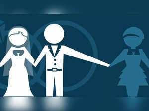 Parliamentary panel may suggest criminalisation of adultery