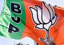 BJP releases manifesto for Madhya Pradesh assembly elections