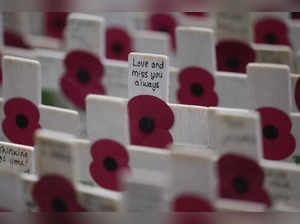 Britain Remembrance Day