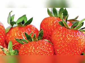 Does eating strawberries reduce risks of dementia? Know what researchers have to say