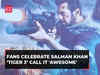 ‘Tiger 3’: Fans celebrate Salman Khan and Katrina Kaif starrer movie call it 'awesome'