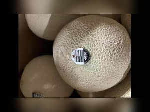 Cantaloupes recalled in several US states over likely salmonella contamination. Check side effects, disease