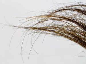 Hair strand