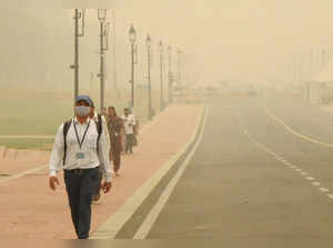 Look beyond GRAP, adopt multiple ways to clean up Delhi's air: Expert