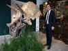 This 'Baby' is 68-mn years old! A Triceratops skull named 'Baby Jane' may fetch $539K in Paris auction