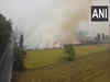 Punjab reports 740 fresh incidents of stubble burning