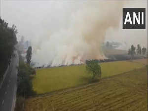 Punjab reports 740 fresh incidents of stubble burning