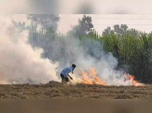 Punjab farm fire