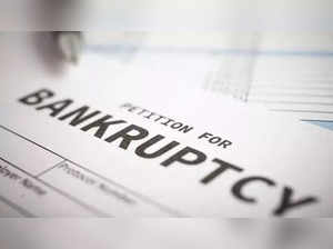 The Insolvency & Bankruptcy Board of India