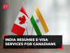 Thaw in India-Canada relations: Delhi resumes e-visa services after two-month pause