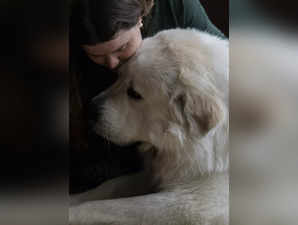 Mysterious Respiratory Illness Affects Dogs in Multiple States