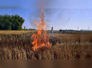 Punjab reports 512 more farm fires