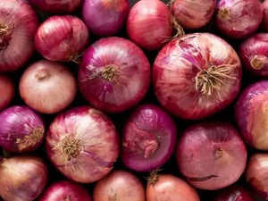 Centre puts 40% export duty on onions to boost supplies, tame prices
