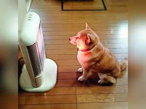Sitting in Front ofA Heater