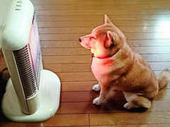 Sitting in Front of A Heater