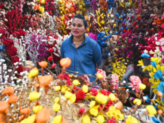 As Local Exotic Flowers Bloom, Imports Wilt