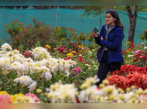 Jaipur: A visitor during the Chrysanthemum flower show at Rajasthan University n...