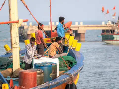Ghol fish: it's special for nature and money