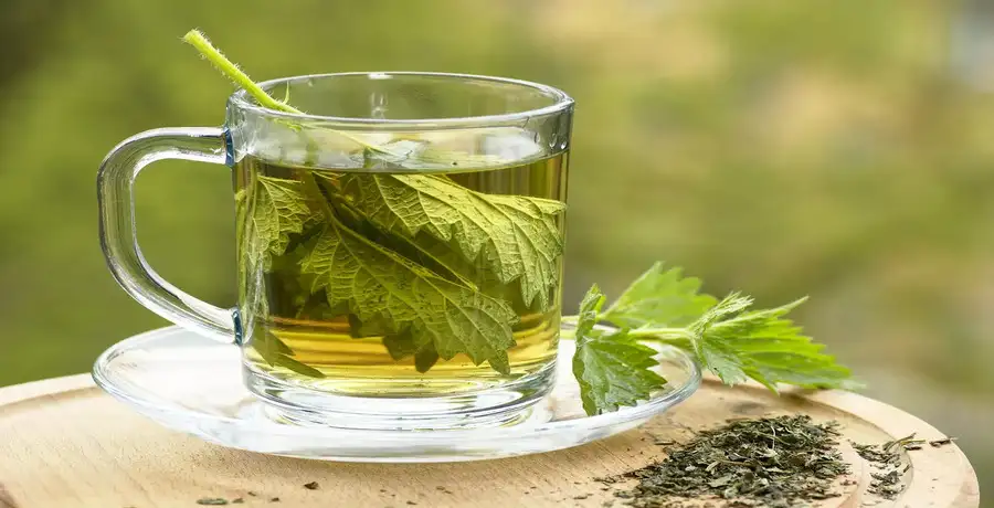 health care: This 'miracle' tea can literally transform your health - Vimarsana News
