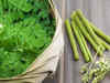 Moringa dietary supplements can be dangerous for health, warns The Liver Doc