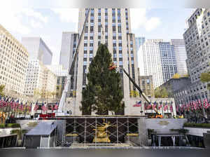 2023 Rockefeller Center Christmas Tree Arrival