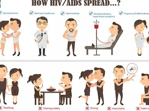 How Is The Virus Transmitted?