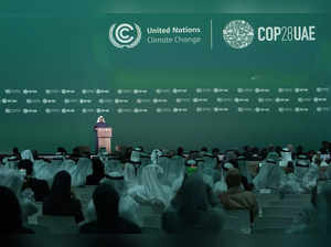COP28 Climate Summit