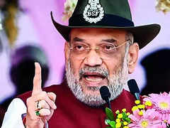 Pak, Bangladesh Borders to be Secured in 2 Years: Amit Shah