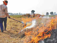 Stubble Burning: NGT Orders Action Plan