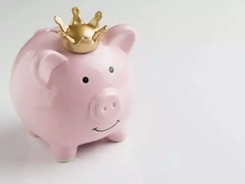​SBI Contra Fund