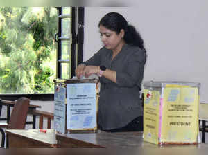 DUTA polls record 85% voting, counting underway