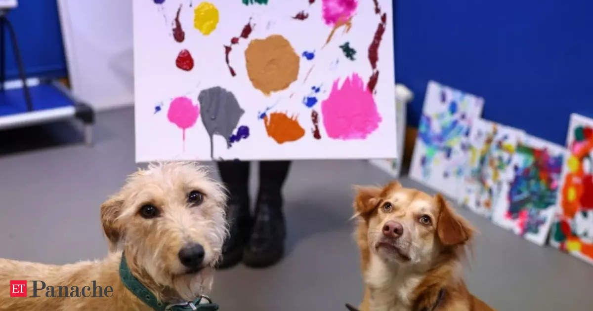 Good boys turn great artists: Stray dogs delve into painting at British animal rescue centre