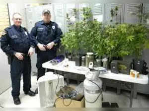 US: Tennessee Police unearths largest marijuana grow operation. Know in detail