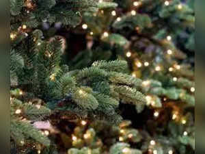 What is Christmas Tree Syndrome, Here's How You Can Avoid It