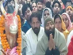 MP: Congress candidate offers earnest prayers at Ujjain's Mahakaleshwar Temple with hours left to counting