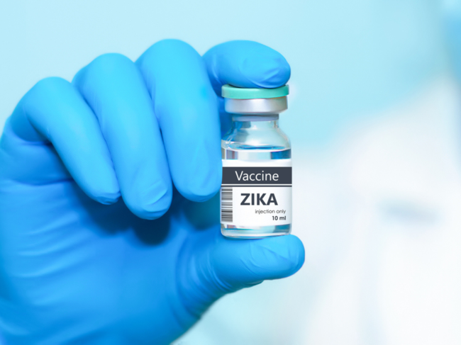 Researchers have developed a needle-free vaccine patch to combat the Zika virus.
