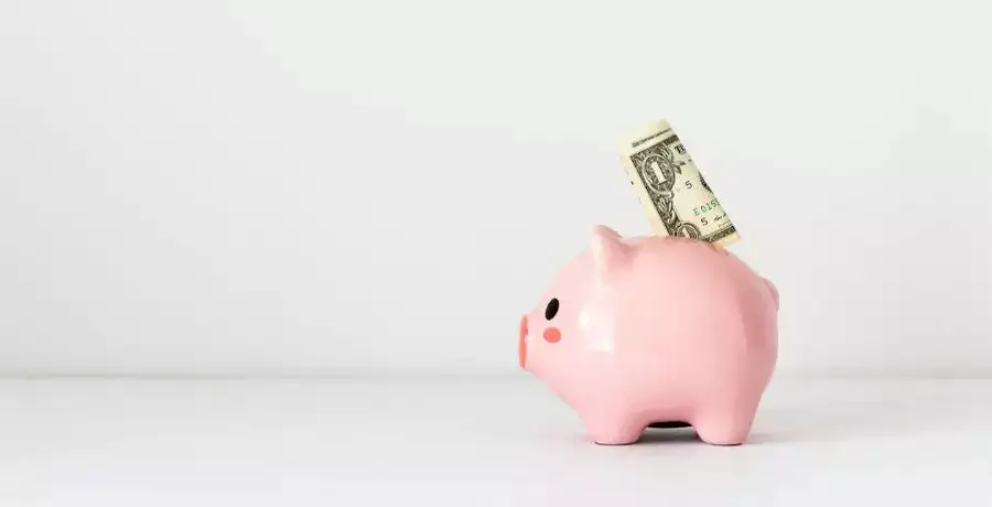 ​Did your ELSS fund's name change? Should you do something? - Vimarsana News