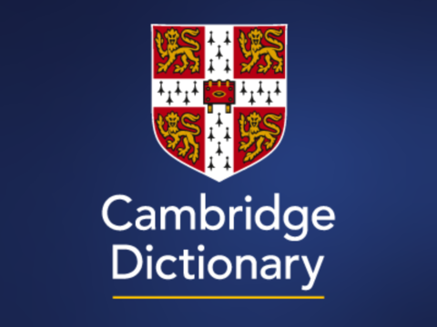 Cambridge Dictionary 