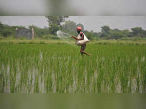 Govt to push alternative plant nutrients to cut fertiliser subsidy load by 50%