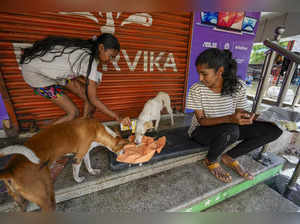 Chennai: Young women feed stray dogs by the side of a waterlogged road after hea...