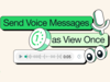 WhatsApp adds support for self-destructing voice messages to keep user conversations private