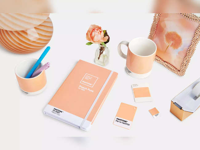 Pantone's Color of the Year for 2024 Is Peach Fuzz