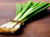 8 health benefits of spring onions or hara pyaaz