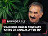 Himachal hemp is of premium quality; will grow cannabis for medical purposes: CM Sukhvinder Sukhu