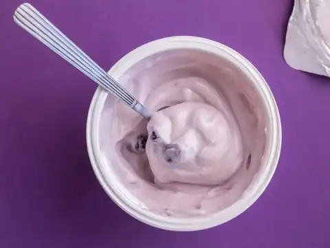 ​Flavored Yogurt​